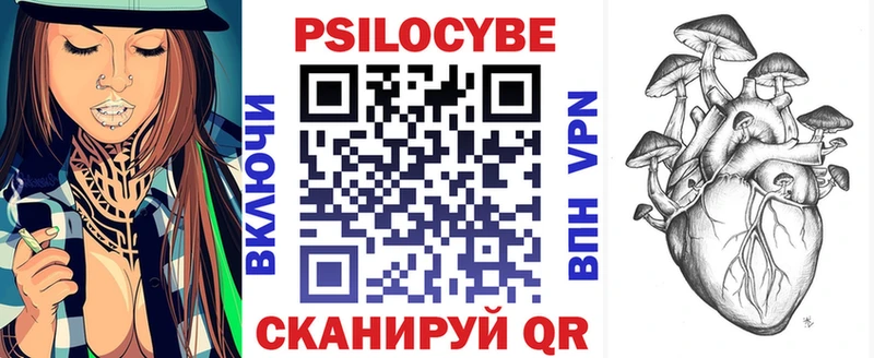наркошоп  Вичуга  Псилоцибиновые грибы Psilocybine cubensis 